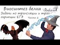 Задачи по биосинтезу белка. Трансляция и транскрипция. Часть 2