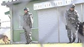 海上自衛隊 軍用犬 警備犬 訓練 岩国基地 Japan Maritime Self Defense Force K 9 Training Youtube