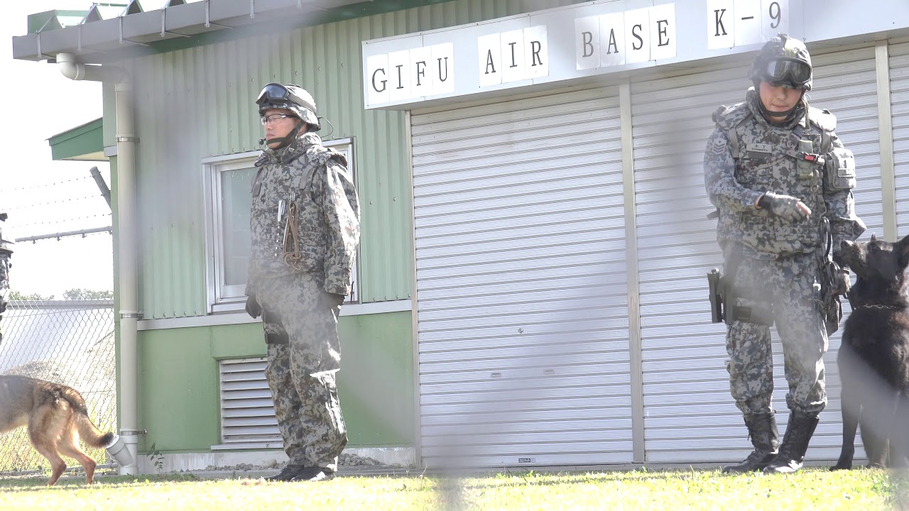 岐阜基地 航空祭 警備犬 訓練展示 16年 かわいい 航空自衛隊 Youtube