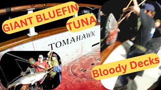 LIMITS!  1 1/2 Day Trip Giant Bluefin Tuna TOMAHAWK Sportfishing Fisherman's Landing San Diego CA
