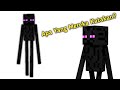 Apakah Yang Enderman Katakan?