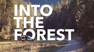 OVERLANDING in LINCOLN NATL FOREST | INTO the UNKNOWN