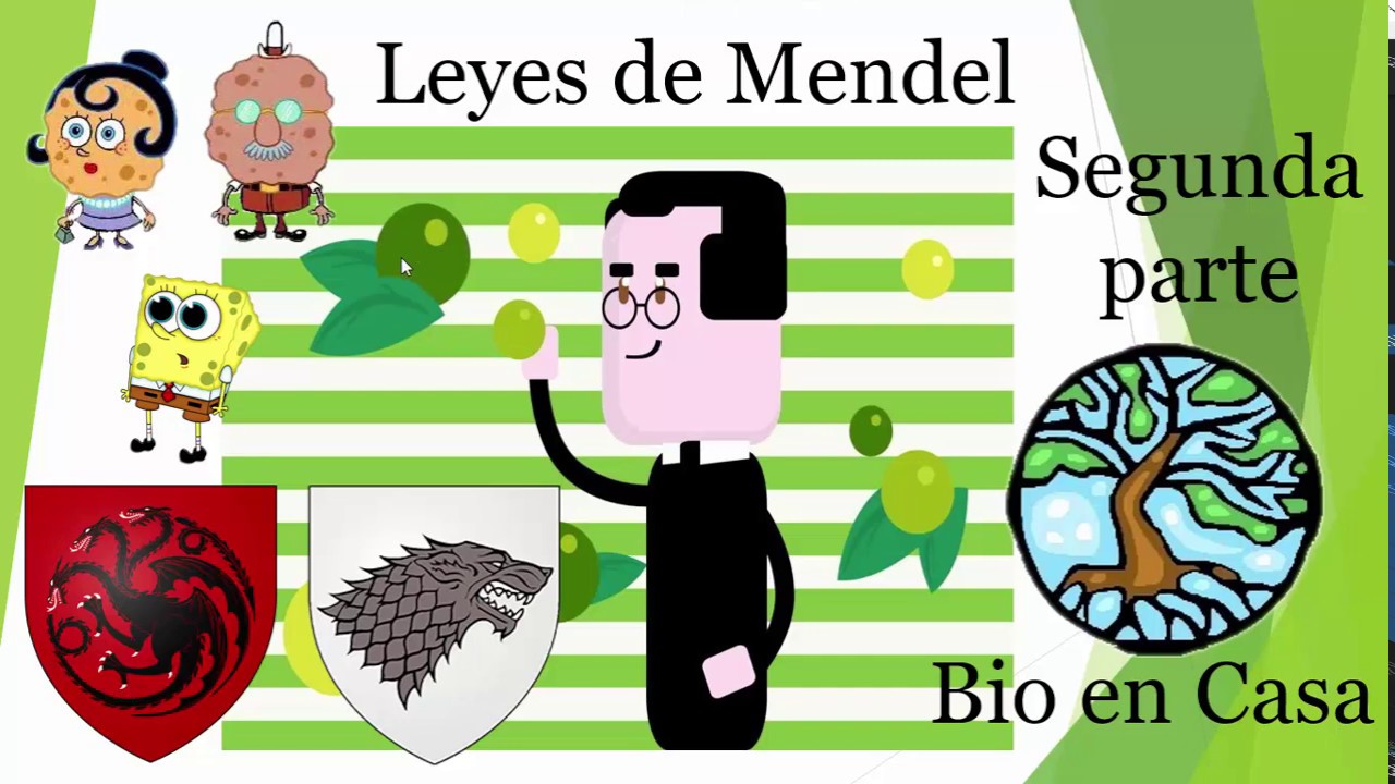 Segunda ley de Mendel (con ejemplos de bob esponja y GOT) - YouTube