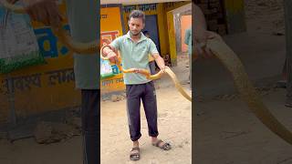 #snakebite #snakevideo #viral #wildlife #animals #ratsnake #snake ​@chitransh_Bhai2.0 ⁠ #shorts
