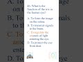 TNPSC GROUP II practice in English part 14 #tnpscgroup2studymaterial