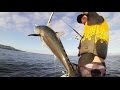 Catching tuna off a jet ski at noosa