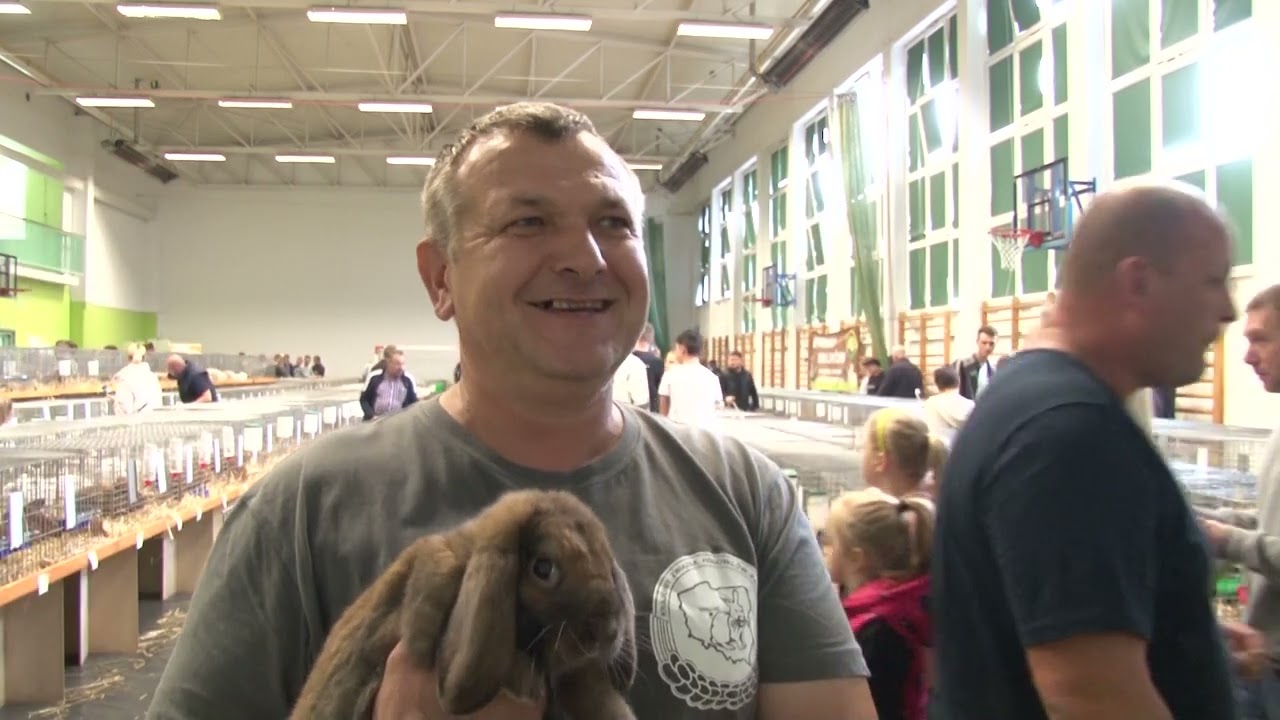 Króliki znów zagościły w Żychlinie