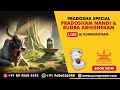 Pradosha Special Nandi Abhishekam LIVE From Kumbakonam Pradosha Special Nandi Abhishekam LIVE From Kumbakonam