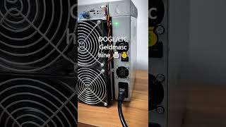 DOGE/LTC Geldmaschine 🖨️💰