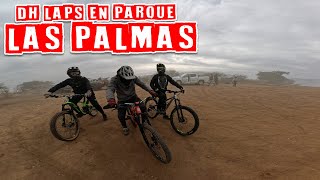 Parque Las Palmas Bikepark, DH laps