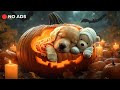 🐶 10 Hours – Calming Dog Music | Stress Relief & Peaceful Sleep for Puppies 🐾✨