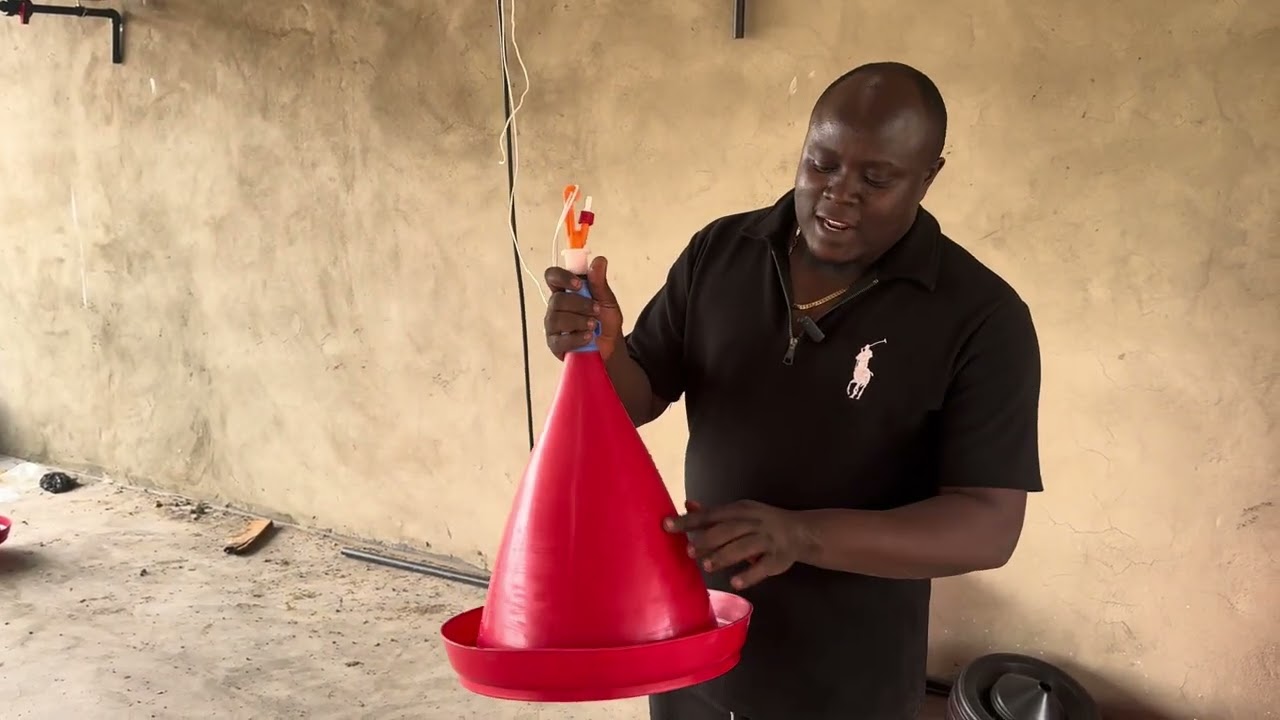Préparation de la poussinière pour le lancement de la première bande de poulet de chair à Bangangte 