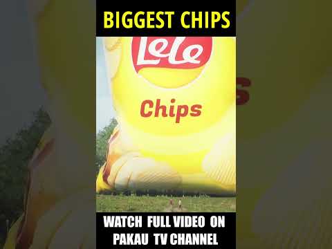 Biggest Chips #shorts | Hindi Comedy | Pakau TV Channel