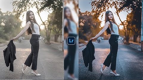 Moody brown effect in the photo with mobile | Lightroom Mobile Tutorial | Free Preset Download