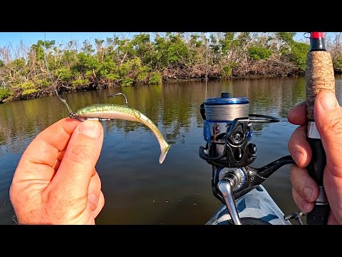 Deserted Island Hopping With A Fishing Lure That Catches Everything!
