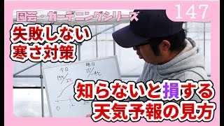 見ないと損する植物・花の寒さ対策・冬越し・防寒　失敗しない天気予報の見方　【園芸・ガーデニング】ｂｙ園芸チャンネル　147