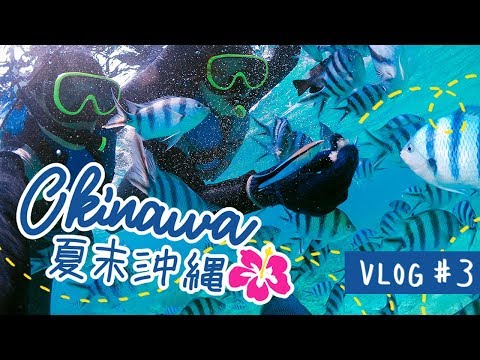 美麗海中浮潛🐠【夏末沖繩#3】田園風早餐、Ryubo百貨、恩納村、超好吃炸麵包 ｜Okinawa Vlog［中字］