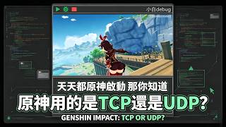 原神用的是TCP還是UDP KCP是什麼？ What is TCP or UDP KCP#programmer #tcp #udp kdp#programming