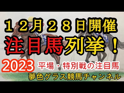 【注目馬列挙・平場予想】2023年12月28日JRA平場特別戦！ベテルギウスステークスを含む8頭！JRA2023年開催最終日！