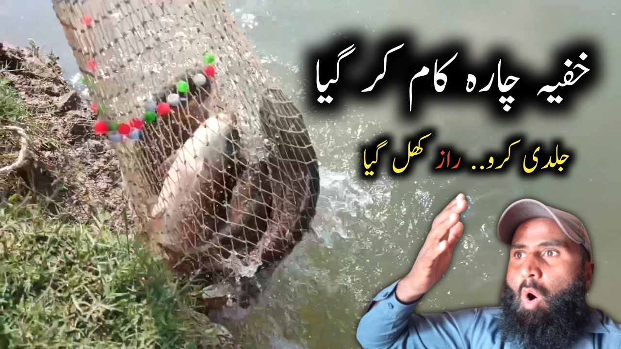دریا میں خفیہ چارہ لگایا اور زبردست شکار ہوگیا 🔥 | River Fishing Tips