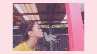 コイセヨワタシ。