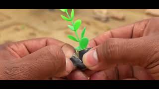 Mini  Brick Water Irrigation System | Village Construction Project