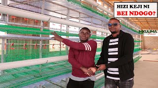 LOCAL CAGE YA KUFUGA KUKU 1000