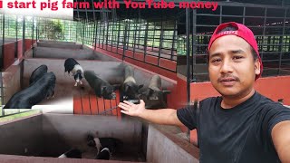 my pig farm || I start pig farm with YouTube money || @nagavillagefood