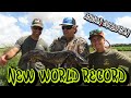 New WORLD RECORD | Florida Snakehead Hunting | Airgun Evolution