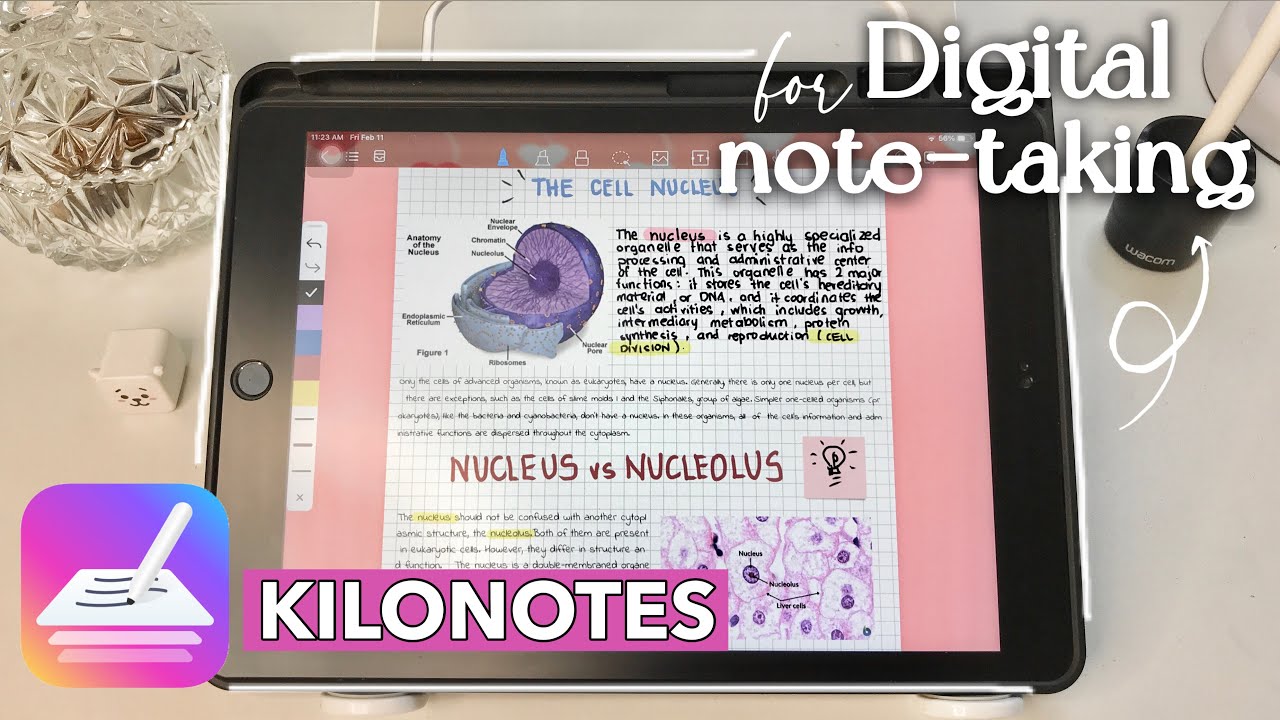 KiloNotes:iPad用の無料メモ取りアプリ(ウォークスルー)❤✧|エミー・ルー
