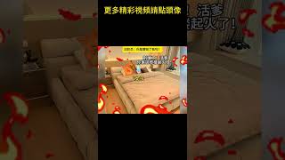 #猫meme #搞笑 #表情包 #貓meme #貓貓最可愛