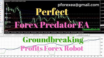Perfect Forex EA Robot | Forex Predator EA Robot | Groundbreaking Revolutionary Forex Robot