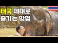태국 여행 백만배 즐기는 방법 -세계여행(18)