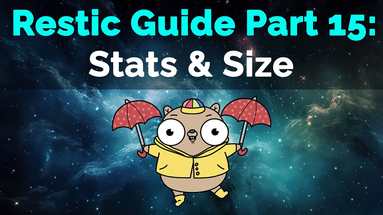 Restic Guide Part 15: Repository Stats and Size