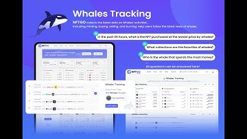 Leading NFT Data Provider NFTGO Launched its New Major Feature Whales