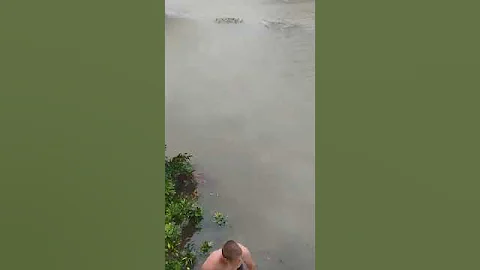 Watching flooding, rescue near Naples Art District after Hurricane Ian