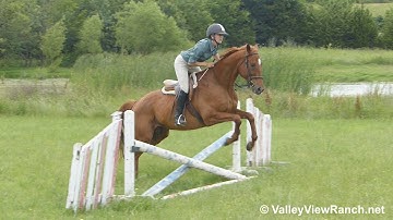 Denny - riding English over fences and flat! - VallyViewRanch.net