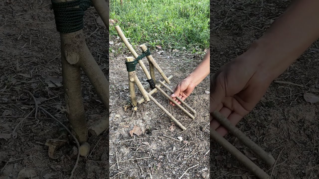Trap In The Forest Survival Outdoors Bushcraft