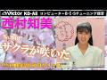 Victor KD-A8 サクラが咲いた 西村知美 1988