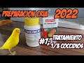 P. CRIA 2022: TRATAMIENTO COCCIOS PREVENTIVO