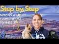 HOW TO Move With Your Pet from The US to Europe - Step by Step Guide (2020) | Expats Everywhere