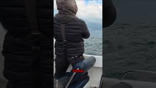 Insane UK Inshore Fishing 🔥