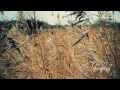 60 fps to 24 fps | Canon 600D Rebel T3i | Stabilizer: Hague MMC | 50mm f/1.8 | Day in the park