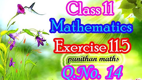 Ex 11.5-14 Class 11 Mathematics