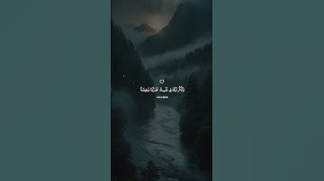 ﴿فَاسْتَمِعُوا لَهُ وَأَنصِتُوا﴾ | تلاوة خاشعة تهز القلوب #ياسر_الدوسري #قرآن #تلاوة_خاشعة