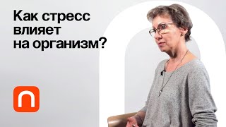 Дистресс — Анна Усенко / ПостНаука