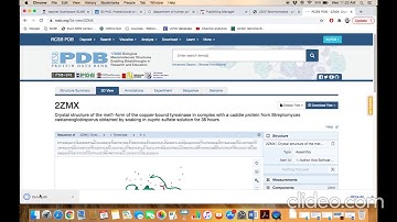 Protein DataBank: Protein 3D-Structure Database