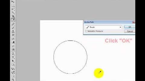 How to draw a circle with no fill in photoshop