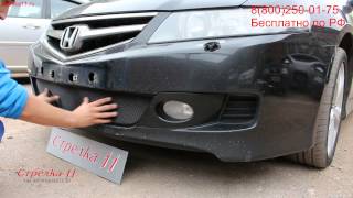 Защита радиатора Honda Accord VII (Рестайлинг) 2006-2008г.в. (Черный) - strelka11.ru Защита радиатора Honda Accord VII (Рестайлинг) 2006-2008г.в. (Черный) - strelka11.ru