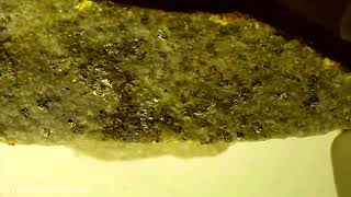 Item 0035 Coloradoite, Gold in Quartzite